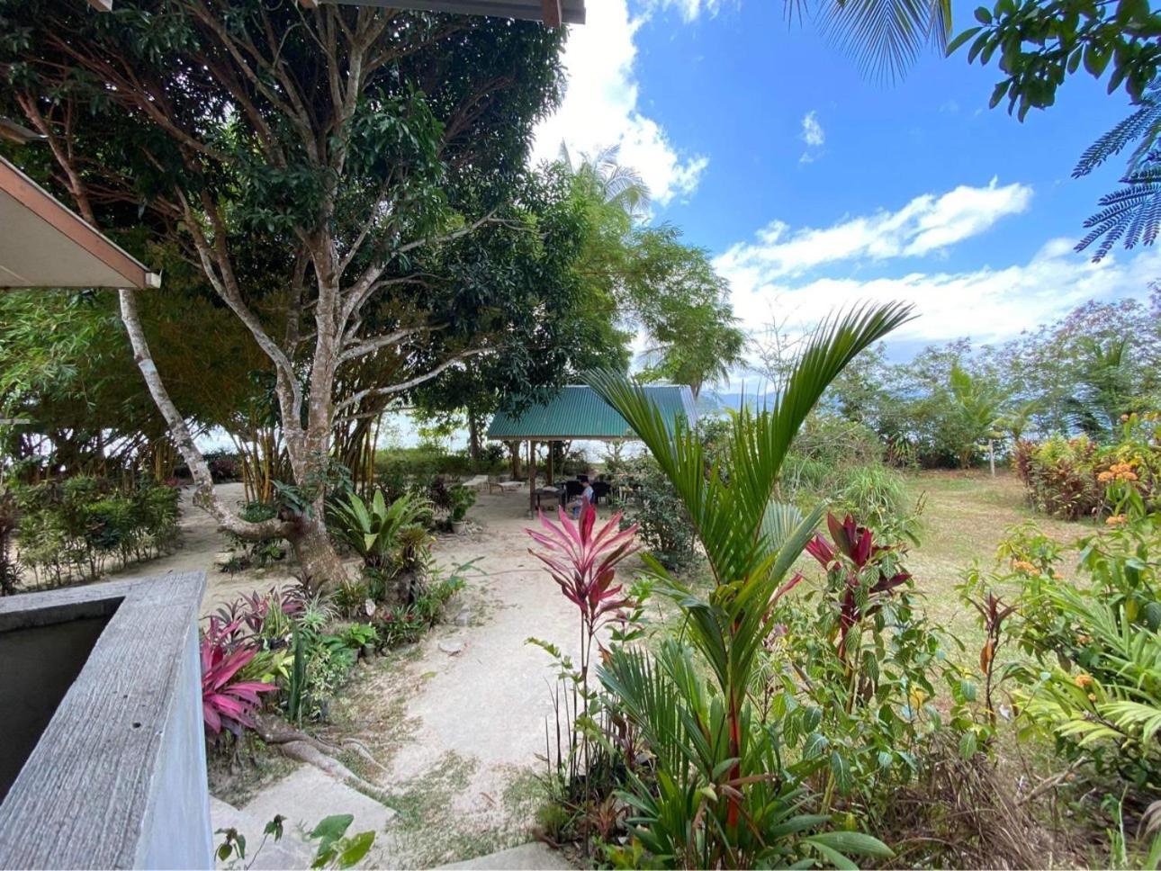 Port Barton - Paradiso Azul Campsite Beachfront With Internet San Vicente  Zewnętrze zdjęcie