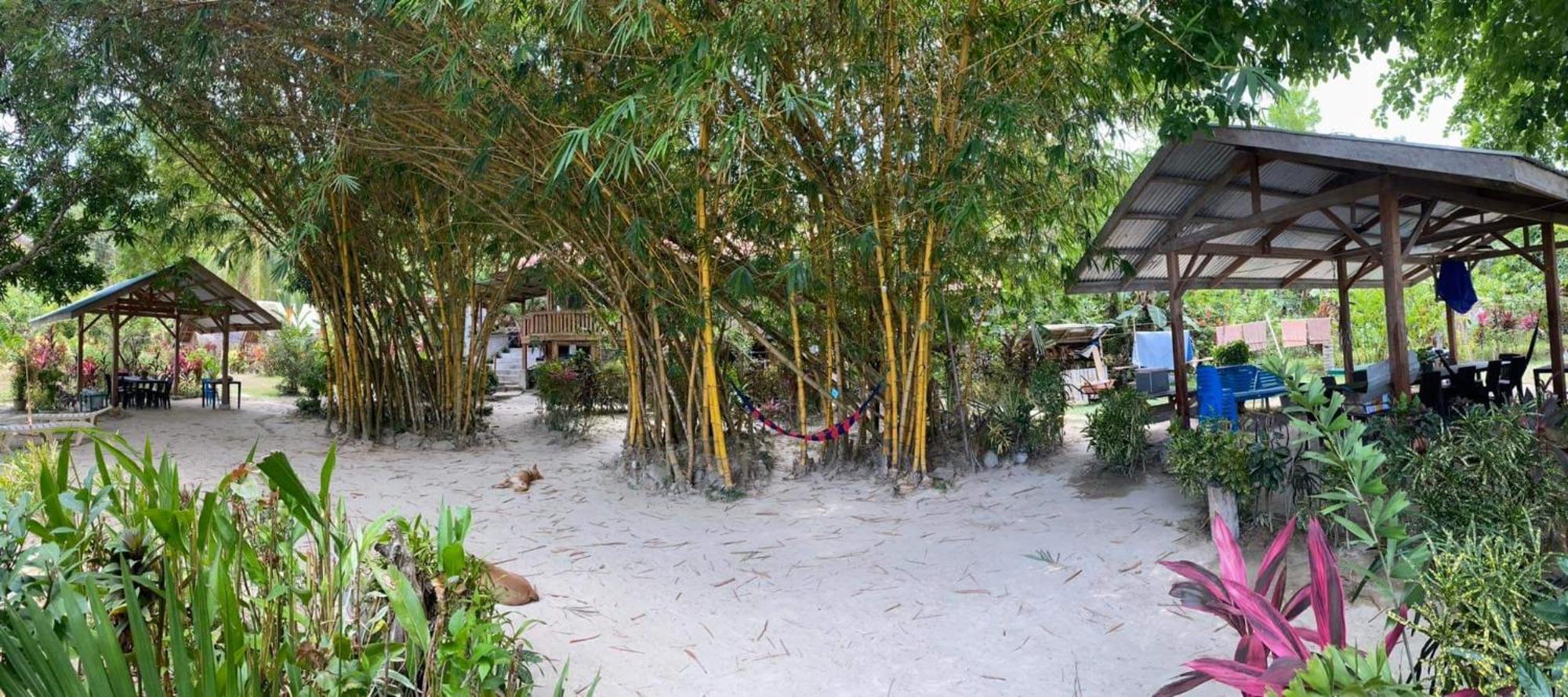 Port Barton - Paradiso Azul Campsite Beachfront With Internet San Vicente  Zewnętrze zdjęcie