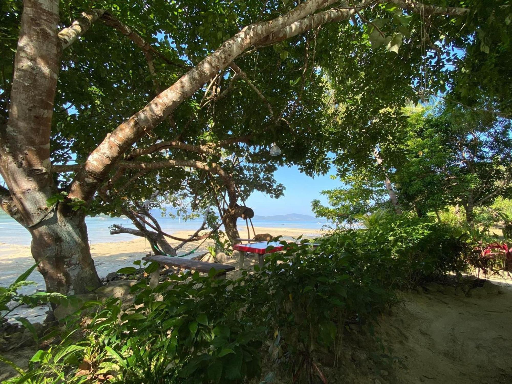 Port Barton - Paradiso Azul Campsite Beachfront With Internet San Vicente  Zewnętrze zdjęcie